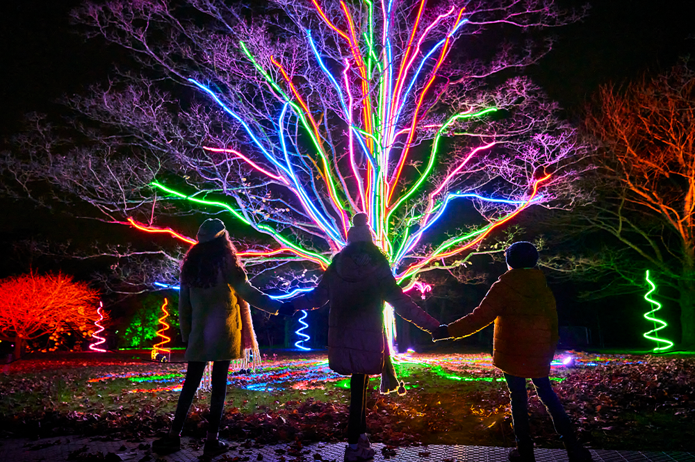 Melbourne Gets Very First Immersive Light Show Experience